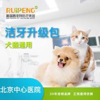 北京中心医院阿闻直播犬猫超声洁牙升级包 猫狗